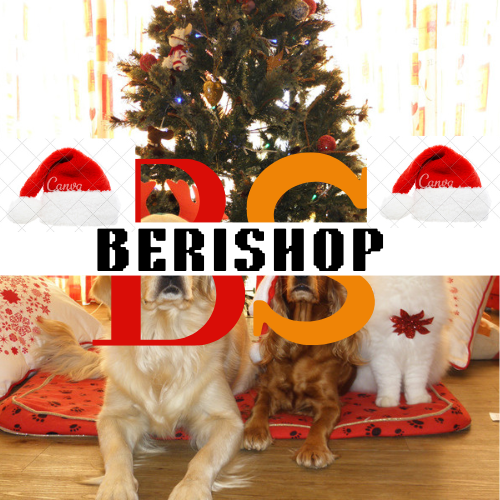 BERISHOP